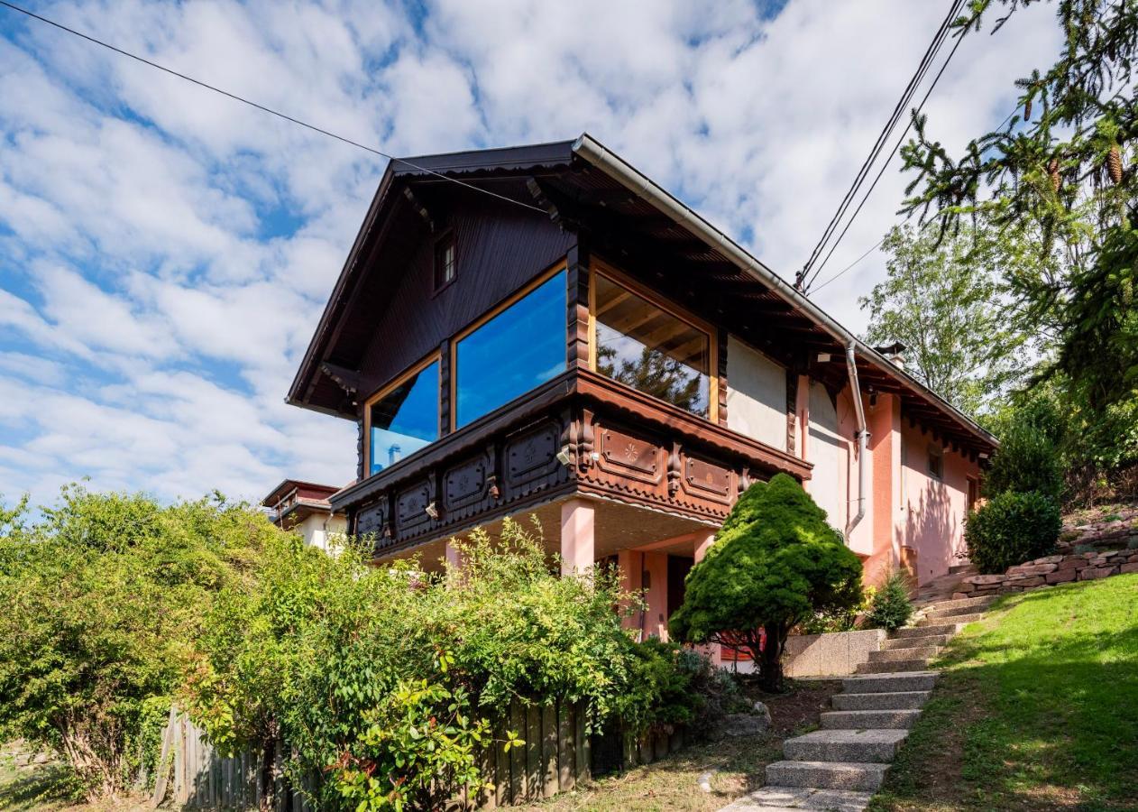 Le Grand Nichoir De La Colline - Parking - Wifi Villa Mutzig Dış mekan fotoğraf